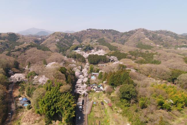 白山全景の写真