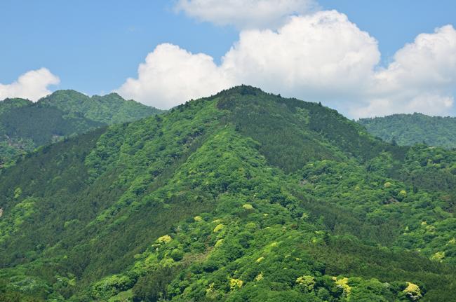 鐘ヶ嶽全貌