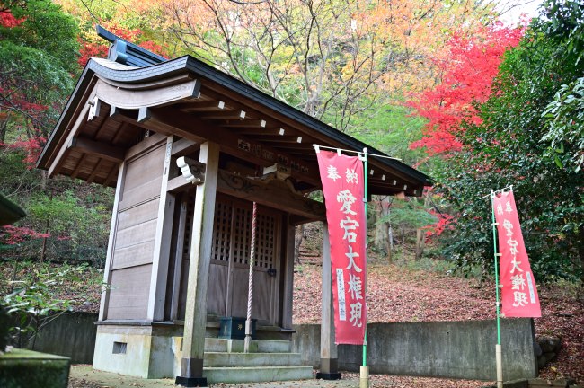 愛宕神社の写真