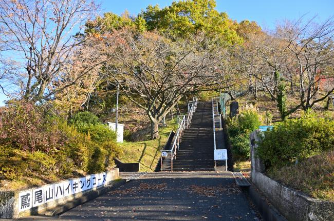 鳶尾山ハイキングコース2