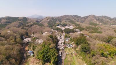 飯山観音長谷寺周辺の山々